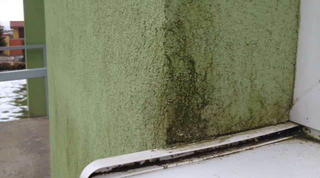 Pleseň na fasáde po 10-tich rokoch zateplenia polystyrénom, panelový dom Lieskové